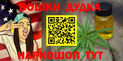 гидра Кандалакша