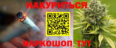гидра Кандалакша