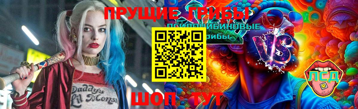 Кувандык  купить наркоту  Вход с VPN  Псилоцибиновые грибы Cubensis 